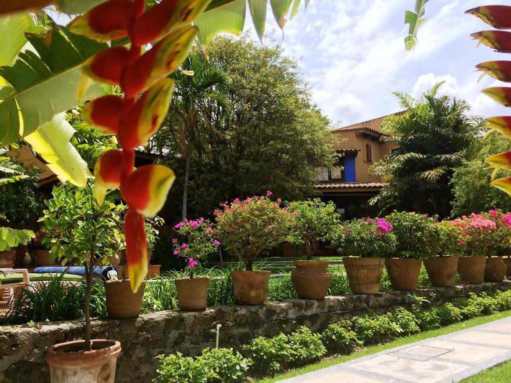 Orchidelirium Casa Hotel&Salud Estética Cuernavaca Chambre photo