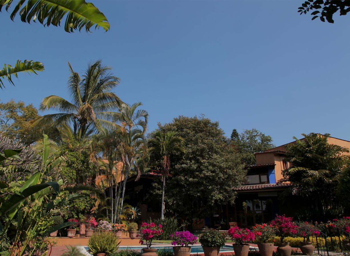 Orchidelirium Casa Hotel&Salud Estética Cuernavaca Extérieur photo