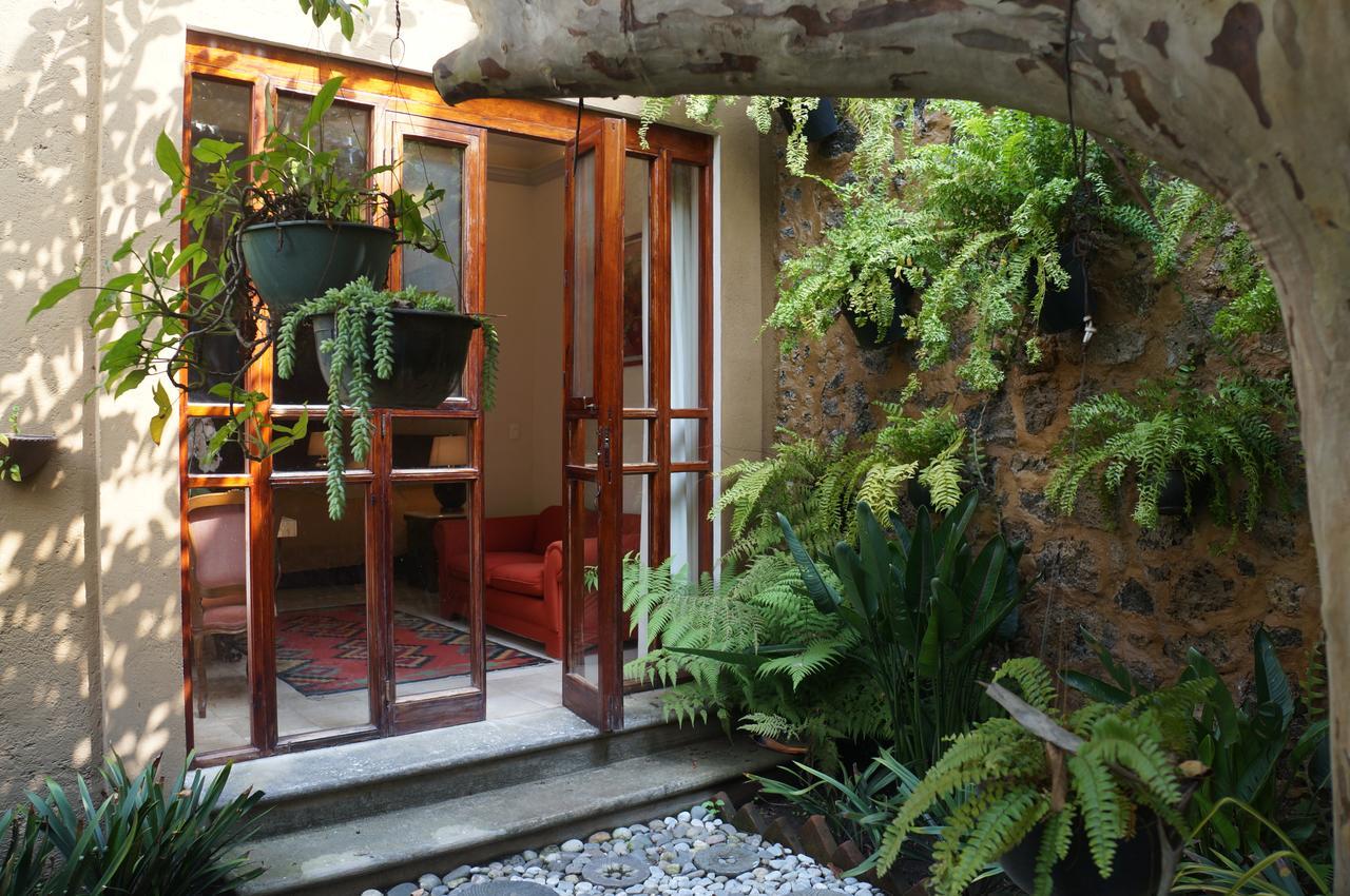 Orchidelirium Casa Hotel&Salud Estética Cuernavaca Extérieur photo