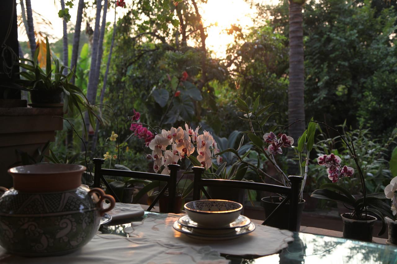 Orchidelirium Casa Hotel&Salud Estética Cuernavaca Extérieur photo